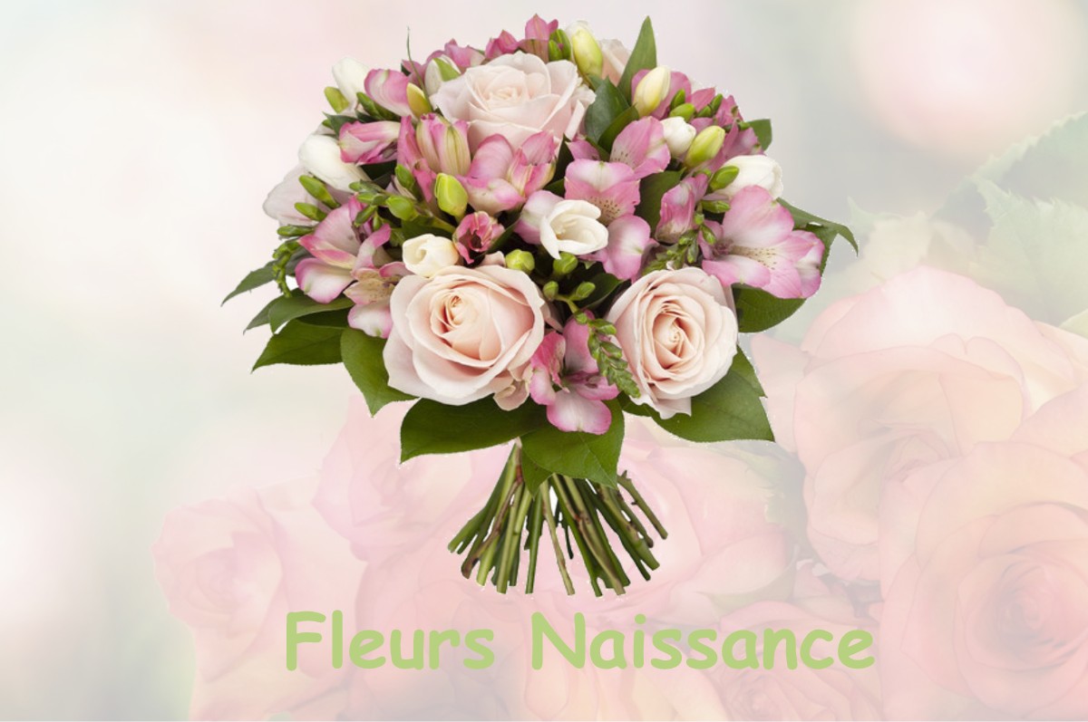 fleurs naissance SAINT-NAUPHARY